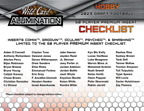2023 Wild Card Alumination Draft Football Hobby Box