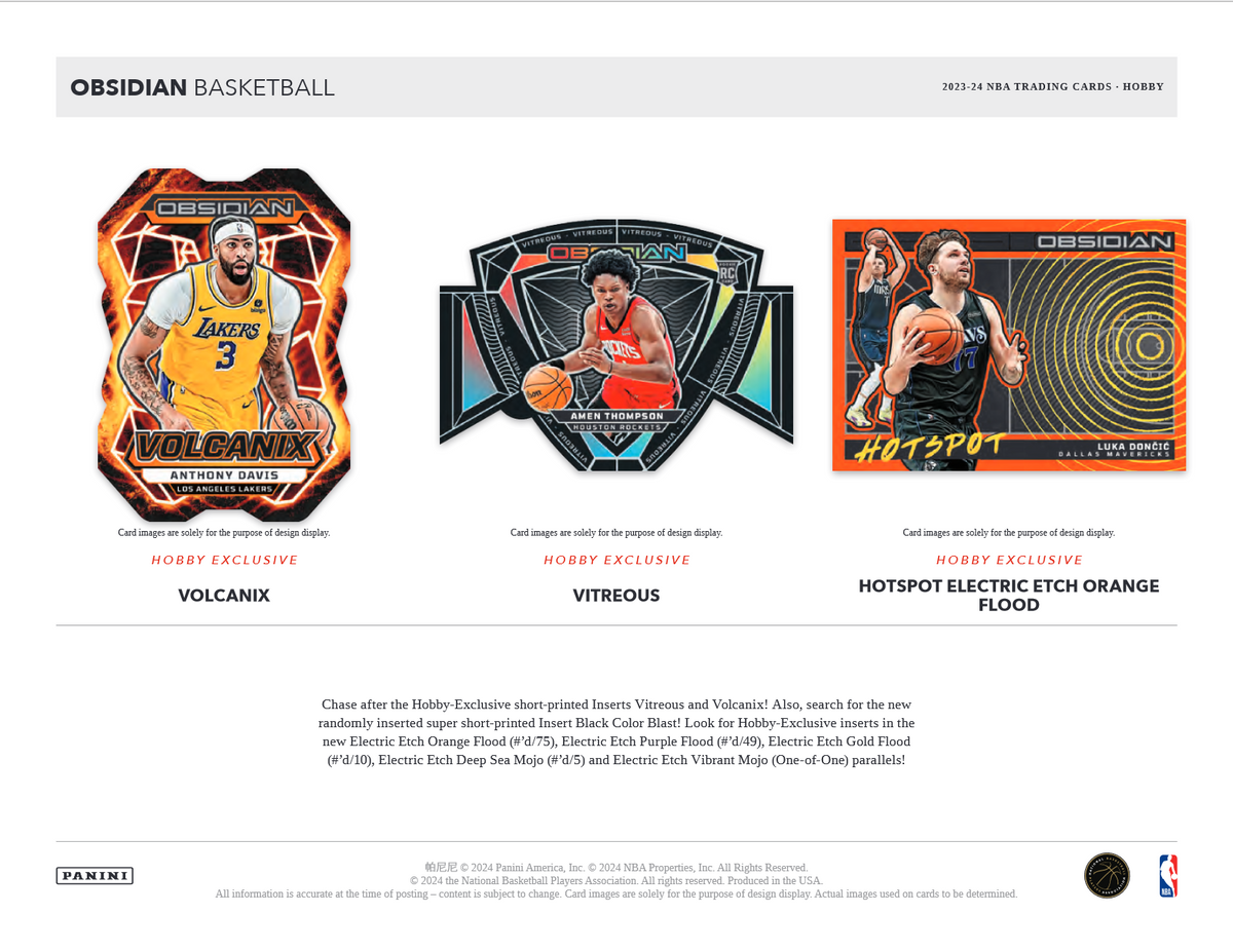 2023-24 Panini Obsidian Basketball Hobby 12 Box Case